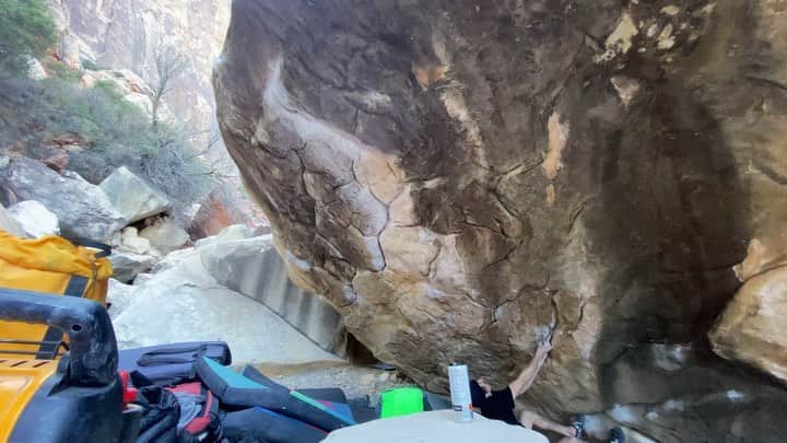 ダニエル・ウッズのインスタグラム：「Since Nov. of last year, I have been consumed by 2 projects that are next level hard for myself. One is in eldorado canyon, CO dubbed “Megatron.” The other is in BV, Las Vegas dubbed “Sleepwalker sit.” Both these lines revolve around connecting 2 hard blocs to create a power resistant line. Megatron’s breakdown is v15 (8C) to v14 (8B+) with no rest (15 moves total). SW sit is v13 (8B) to v16 (8C+) with no rest (16 total moves for me). I haven’t tried anything else besides these two lines. Small increments of progress have been made. The longest I’ve worked a boulder before these lines was around 15 days. I stopped counting now after 20. The monotony of rehearsing the same moves, dialing the same sections, maintaining skin good enough to have a chance, and dealing with weather has mentally added up. Part of me wants to chill but another part says keep going further because you have never been to this place within before. Shits addicting to be honest yet makes you feel crazy. I’m trying, that’s all I can do. I know these lines are possible and want them, but ultimately it will come down to a lucky day when condis are on point, body feels perfect, and head is on auto pilot.   Vid is best effort on SW sit」