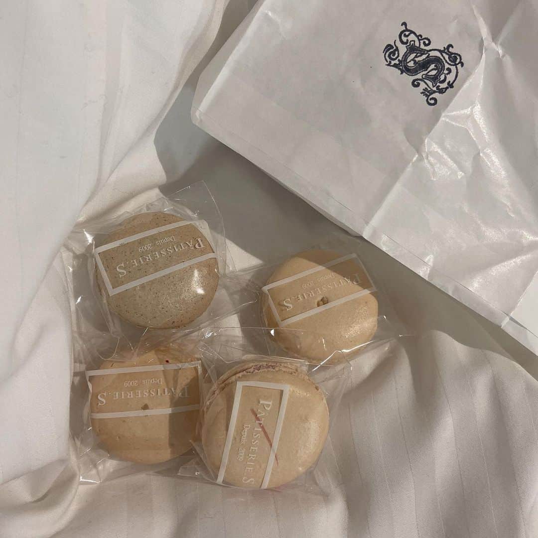sarimaru(国木田さりまる)のインスタグラム：「midnight macaron. 𓂃𓍯」