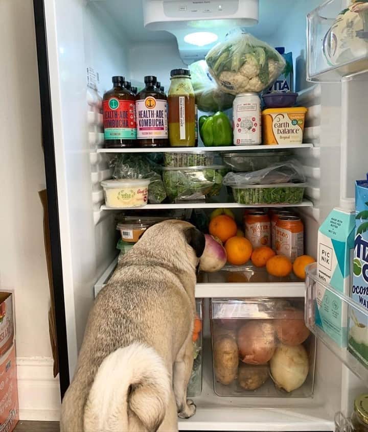 Vita Coco Coconut Waterのインスタグラム：「"I can't find it" -your Dad anytime you ask him to get you a coconut water (or anything) from the fridge」