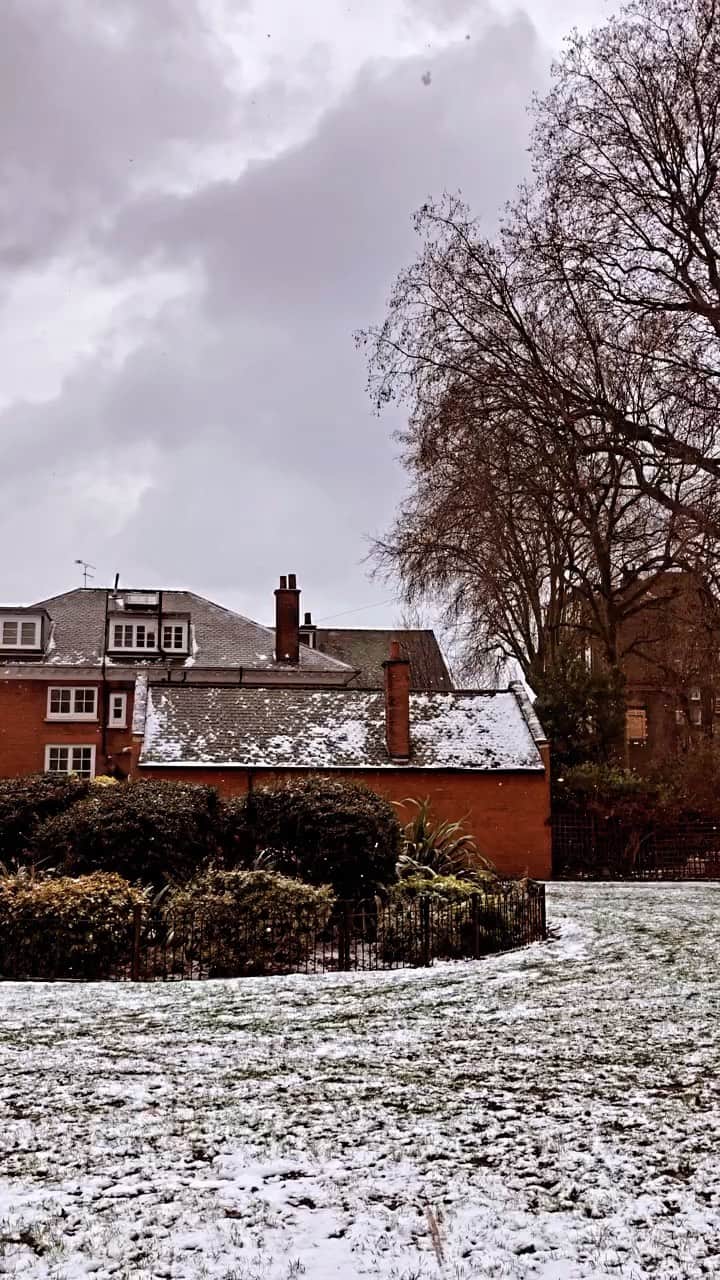 コレニモのインスタグラム：「Columbia road - Quiet snowing❄️💙🌱」