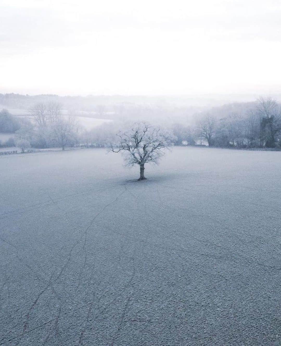 Canon Photographyさんのインスタグラム写真 - (Canon PhotographyInstagram)「Frosty mornings Photography // @rupertporpora  Curated by @henry.nathan  #frosty #uk #ice #winter #england」2月10日 4時03分 - cpcollectives