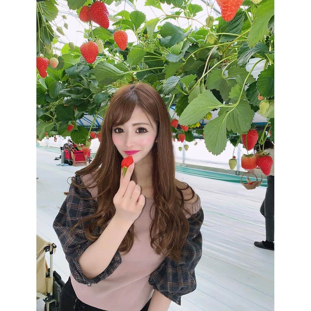 椿あいなさんのインスタグラム写真 - (椿あいなInstagram)「・ ・ 🍓すきっ❤️❤️ ・ 次のおでかけどこにしよーかな🥰💓 ・ ・ #淡路島 #いちごがり🍓」2月10日 4時47分 - aina.915