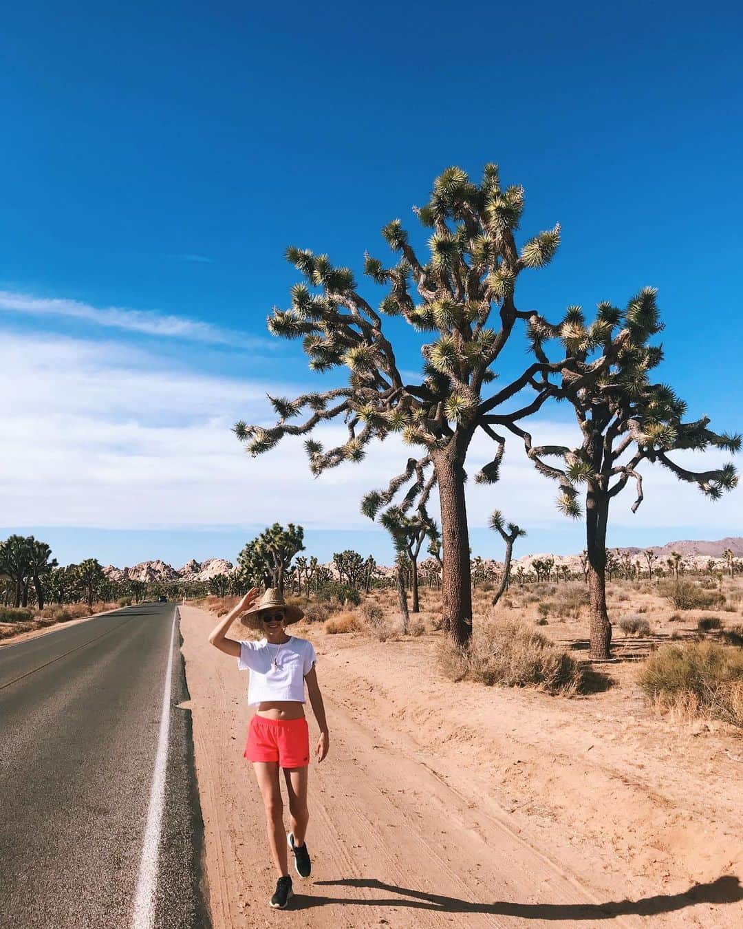 レイチェル・スカーステンのインスタグラム：「Not here, but I wish I was 🌴🌞」
