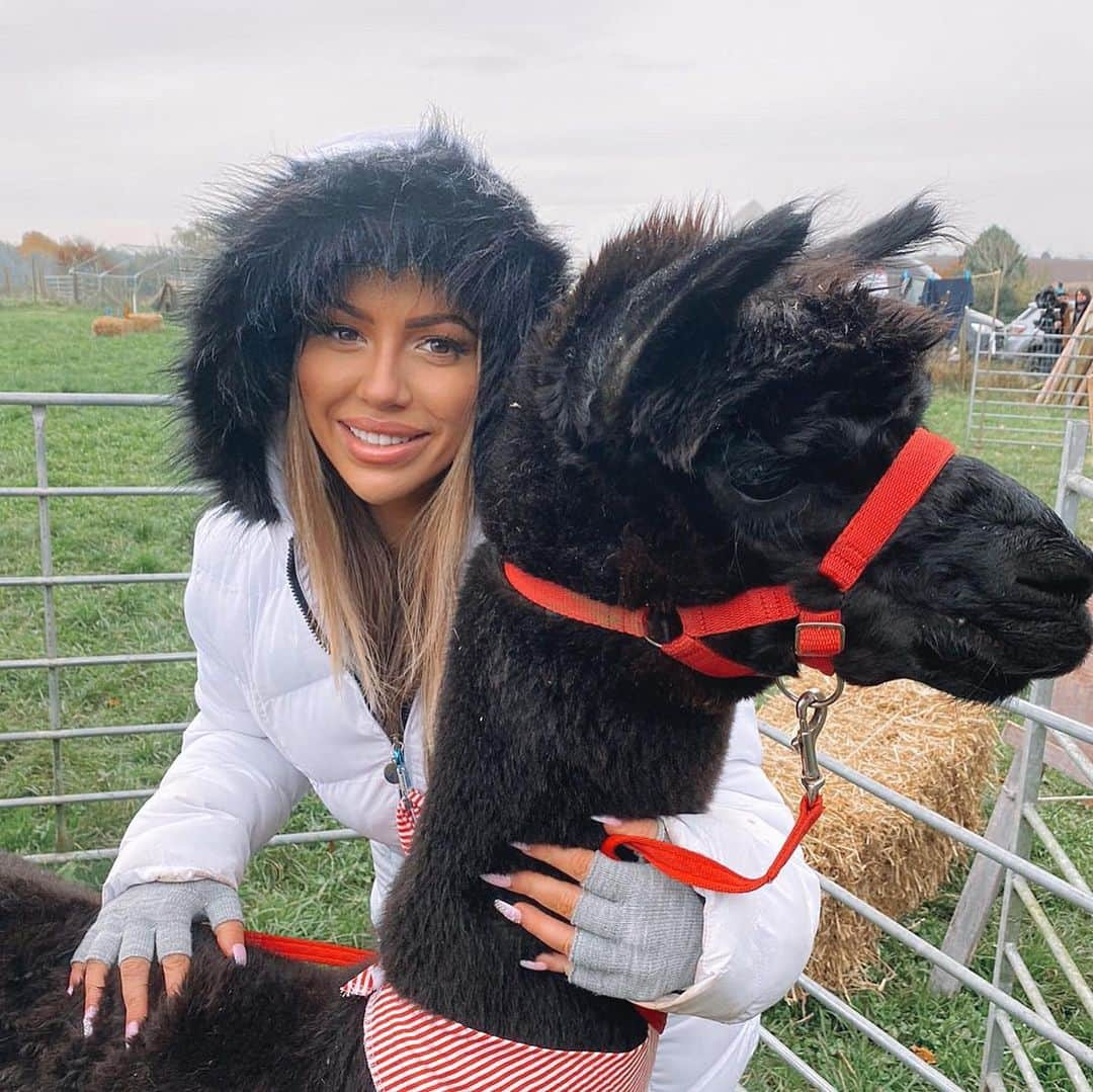 ホーリー・ヘイガンのインスタグラム：「Alpacas were 100% my fave animal 😍 swipe for the reality 😅 celebs on the farm tonight 9pm @mtvuk  #celebsonthefarm」