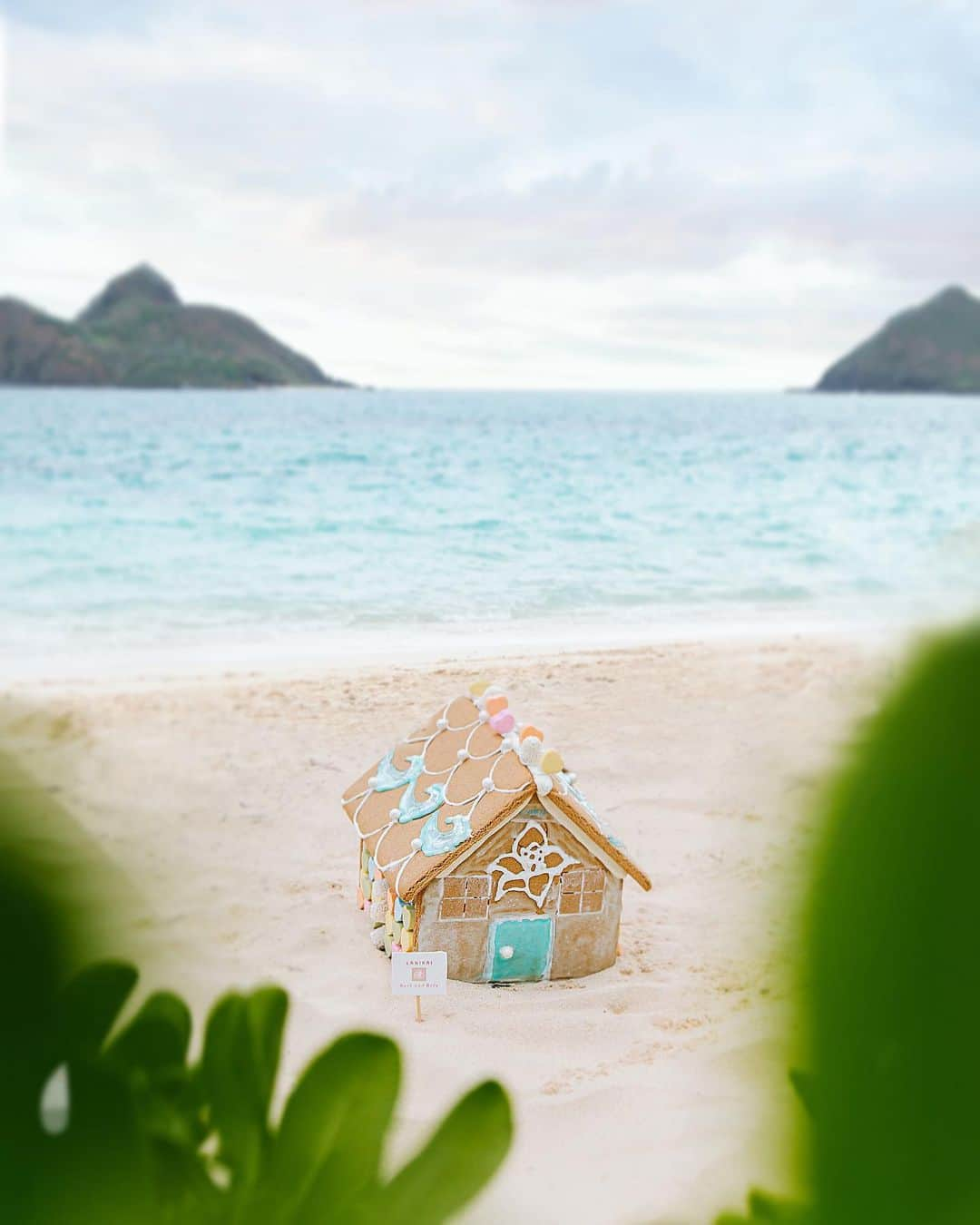 Lanikai Bath and Bodyさんのインスタグラム写真 - (Lanikai Bath and BodyInstagram)「Lanikai Love Shack, baby!   No need to bang, bang, bang, on the door, we’re open!   Find that perfect something for your sweetheart under our roof.  #realestate #hawaiilife #beach #housewarming #loveshack #valentines #nontoxic #natural #organic #essentialoils #sanitizer #mask #flowers #fragrance #pikake #plumeria #tuberrose #orchidvanilla #puakenikeni #havealohawilltravel #lanikaibathandbody」2月10日 6時12分 - lanikaibathandbody