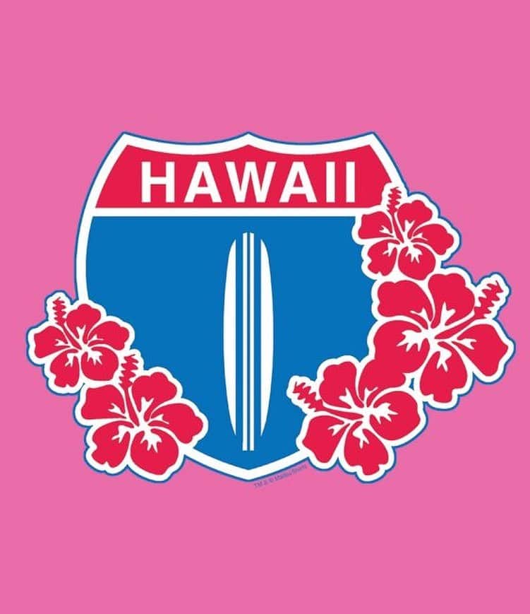 マリブシャツさんのインスタグラム写真 - (マリブシャツInstagram)「🛍 Just in time for Valentine’s Day 🥰  5 &10 HAWAII HIGHWAY 1 FLORAL WOMEN'S T-SHIRT💓」2月10日 6時12分 - malibushirts