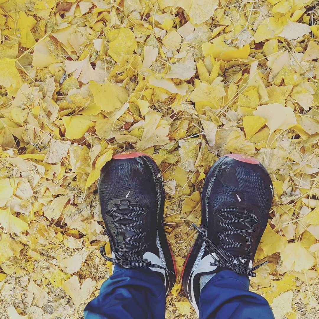 山下晃和のインスタグラム