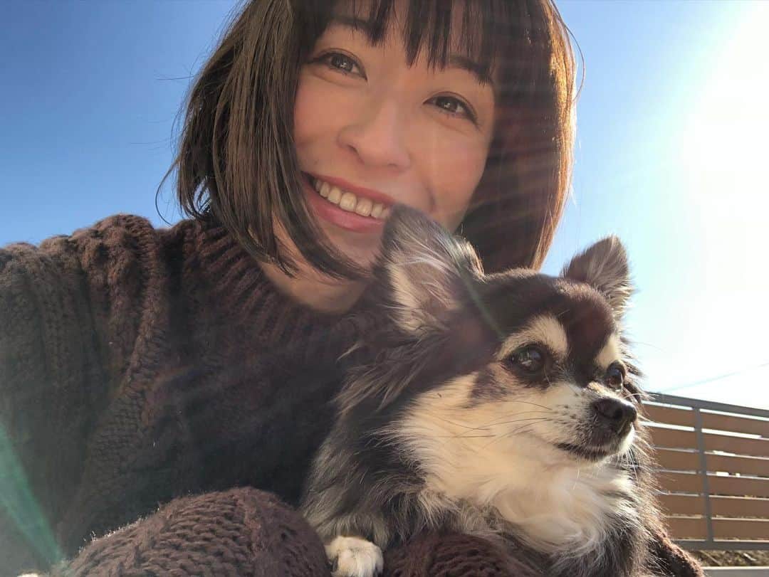 のインスタグラム：「おはようございます🌸^ ^ 暇さえあれば〜光合成🐶🐶🙋🏻‍♀️🌞🕊 お日様を浴びると元気になります☺️ でも、、鼻水ぐずぐす。目は、かいかい。。顔もかいかい。むー 何のアレルギーなのか解明出来ず、まもなく40年😑 いろいろいろいろいろいろと、 気をつけながら〜、良い一日を〜🍀😷✌️ #チワワ#ハナちゃん#のんびりしたい #チワマル#ハルくん#遊びたい #いぬすたぐらむ #いぬばか部 #chihuahua #maltese #mixdog #doglover #犬との暮らし #千葉暮らし#日光浴#光合成#庭#アレルギー#何度検査してもわからず#謎」