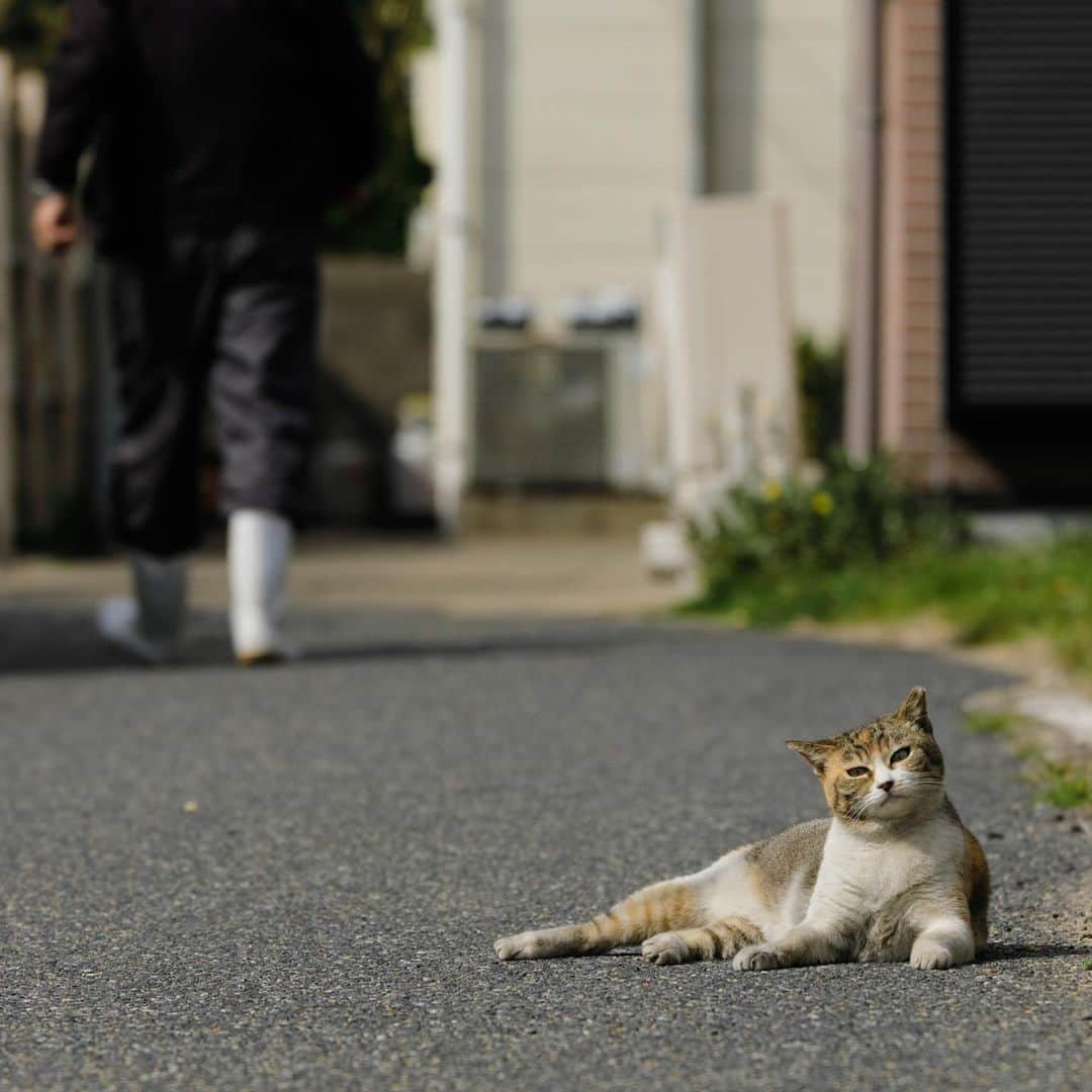 ををつかのインスタグラム