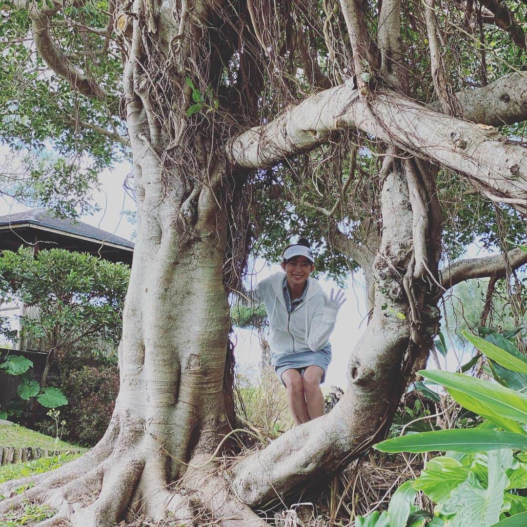 RIKAのインスタグラム：「. ガジュマルの額縁🖼 . 今漢字変換して額縁ってこう書くんだって知りました😂 . こっちはこんな木がたくさん💖 ジャングルみたい🍍🍍 . . . #ゴルフ#golf#⛳️#ゴルフ女子#ゴルフ好き#ゴルフウエア#ゴルフコーデ#ゴルフスイング#골프 #골프웨어 #골프스윙 #여행 #해외여행 #골프스타그램 #골프중독 #와인 #소주 #좋은시간#vivigolf#ビビゴルフ#沖縄#沖縄CC#ガジュマル」