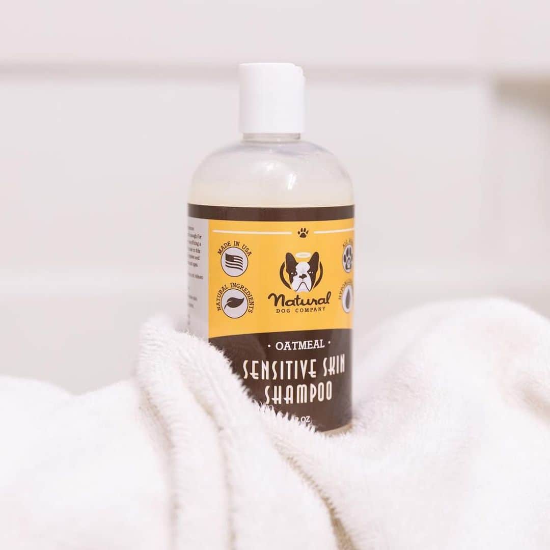 Regeneratti&Oliveira Kennelさんのインスタグラム写真 - (Regeneratti&Oliveira KennelInstagram)「Extra gentle care for extra sensitive pups. The #SensitiveSkin Shampoo from @naturaldogcompany is mild, soothing, moisturizing, and FREE of chemicals, fragrance, parabens, sulfates, detergents, etc. It includes oatmeal, which is perfect for soothing irritated skin. Now available in a liquid version as well! . ⭐ SAVE 20% off @naturaldogcompany with code JMARCOZ at NaturalDog.com  worldwide shipping  ad 📷: @therottenadventuresofdiesel . . . . .  #puppy #puppylove #puppygram #puppyoftheday #puppylife #frenchbulldog #puppypalace #puppys #puppyface #puppies #puppiesofinstagram #frenchie #frenchiesofinstagram #frenchies #frenchielove #frenchieoftheday #frenchiegram #frenchielife #frenchiepuppy #frenchiesociety #frenchiesofig #frenchiestagram #frenchiebulldog #frenchielovers  #frenchbulldogofinstagram  #bullylove #jmarcoz」2月10日 7時41分 - jmarcoz