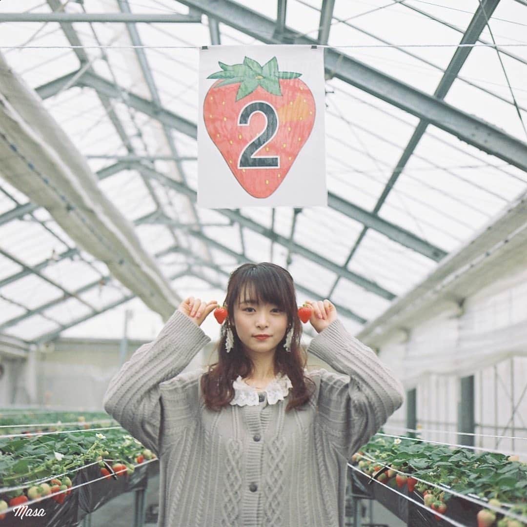 Masaさんのインスタグラム写真 - (MasaInstagram)「. . . 🍓 . . 現在、滋賀県内のみで感染対策をしての撮影のみとしています。キャンセルたくさん出ていますので、ご相談ください😌 . 撮影日 : 2021年1月 . #まっセル #エビプリ #hasselblad #ハッセルブラッド#instagramjapan #igersjp #tokyocameraclub #team_jp_  #art_of_japan_ #photogenic_jp #GPW_members_only #good_portraits_world #film_jp #film #フィルム #film_com #filmcamera #filmphotography #portrait #ポートレート #photogram_archive #todays_blue_collection #team_jp_ #shiga #滋賀 #何気ない瞬間を残したい #jp_portrait部 #planar #いちご狩り #porta800 #期限切れフィルム」2月10日 8時24分 - masa_nikonist