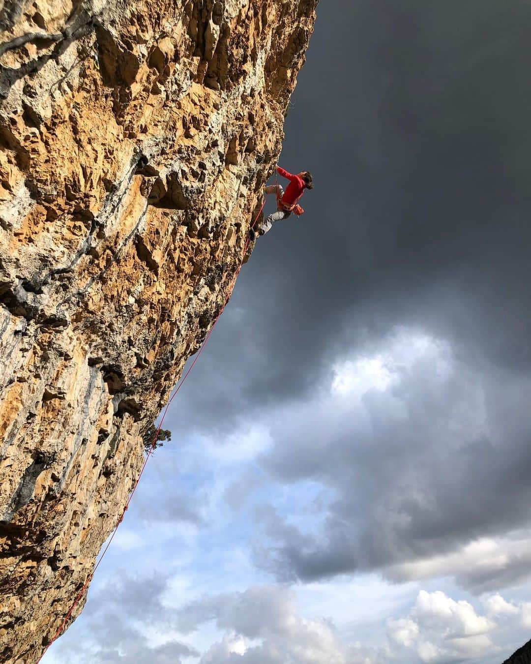 ニナ・カプレツさんのインスタグラム写真 - (ニナ・カプレツInstagram)「Our Andrea “test” trip is a real challenge. Climbing feels easy and familiar compared to all the issues and things we have to learn with our Unimog.  Thanks @lyofood for the delicious adventure fuel. Your berry fruit powders, together with a @gebana.official #realorange , an apple from mamas garden, some hemp @alpenpionier seeds and a @beyerbeans coffee are simply 👌👌👌 for our little adventure!  📸 @camille_doumas   #deliciouseverywhere @lyofood @beyerbeans #andrea @gebana.official @alpenpionier」2月10日 19時51分 - ninacaprez