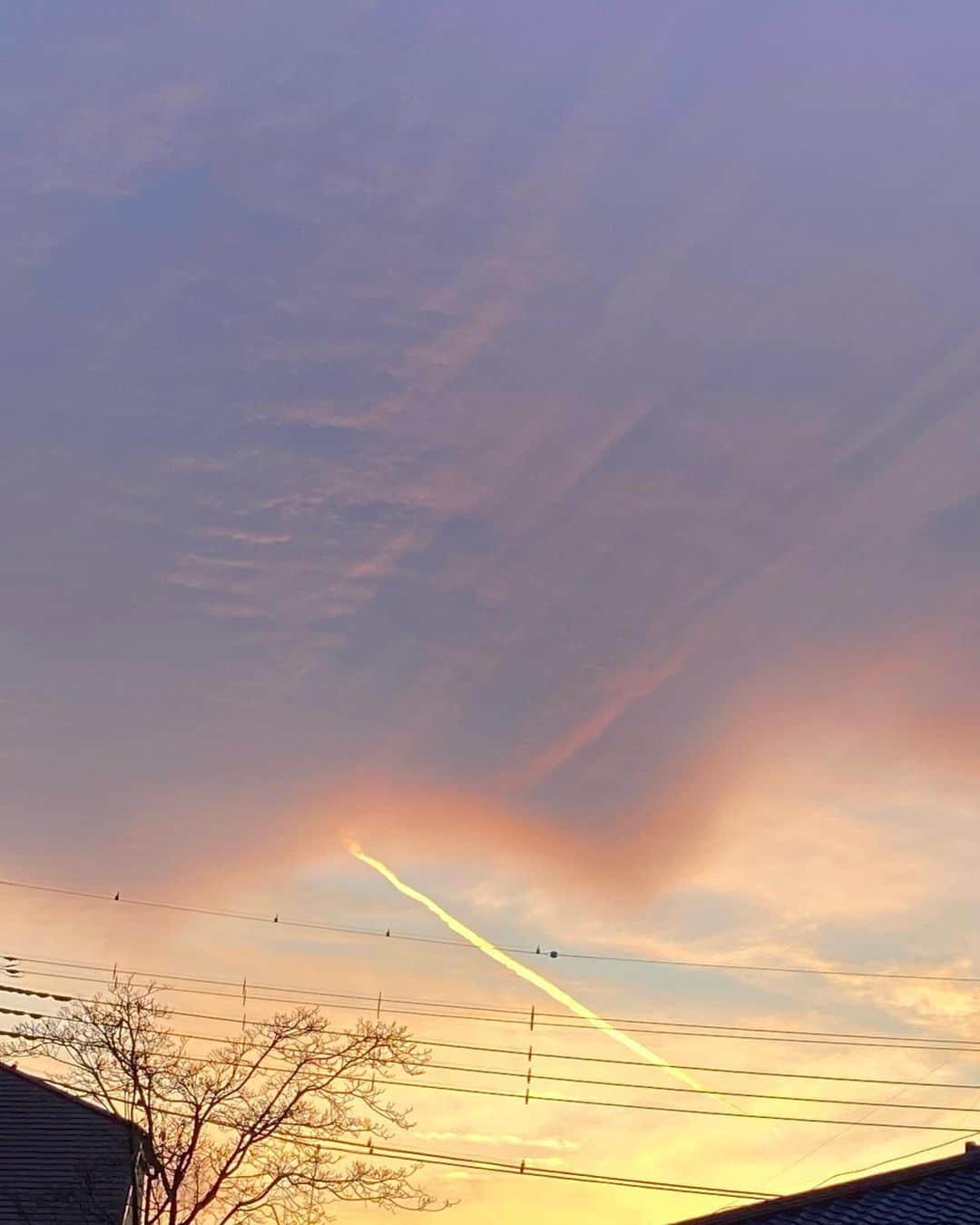 喜国雅彦＆国樹由香さんのインスタグラム写真 - (喜国雅彦＆国樹由香Instagram)「夕方の犬散歩で見た空は淡い色が混じり合って綺麗。飛行機雲が輝いてる（由）  #skystagram #sunset #sky #cloud #blue #grey #orange #contrail #beautiful #tokyo #japan #毎日の空 #毎日の雲　 #さっきの空 #飛行機雲 #キラキラしてた」2月10日 18時22分 - kunikikuni