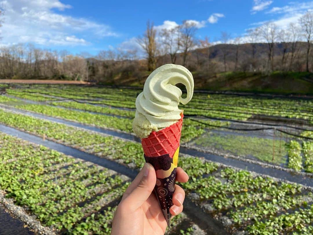 しょーりん（ウルトラ寿司ふぁいやー）のインスタグラム：「いつぞやのわさび農園&アイス  #山葵」