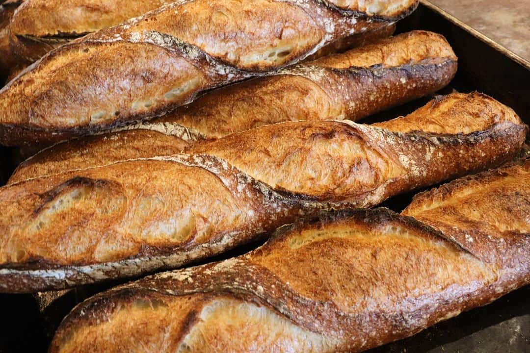 丘の上のパン屋 のグルメインスタ