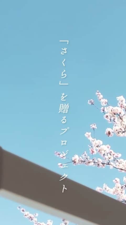 のインスタグラム：「歌のない卒業式に、歌を。  #森山直太朗 さん #カロリーメイト が  #さくらを贈るプロジェクト を2/19（金）からスタートします。  思い出の動画をアップロードするだけで、森山直太朗さんが歌う「さくら（二〇二〇合唱）」の映像や曲にのせた、オリジナル「さくら」卒業記念動画がつくれます。  大切な友だちへ。お世話になった先生へ。 いつもと違う卒業式。でも、一生に一度しかない卒業式。 名曲「さくら（二〇二〇合唱）」にのせて思い出と感謝を届けよう。   詳細はプロフィール欄のリンクから。 #さくらを贈るプロジェクト #カロリーメイト #卒業 #卒業式」