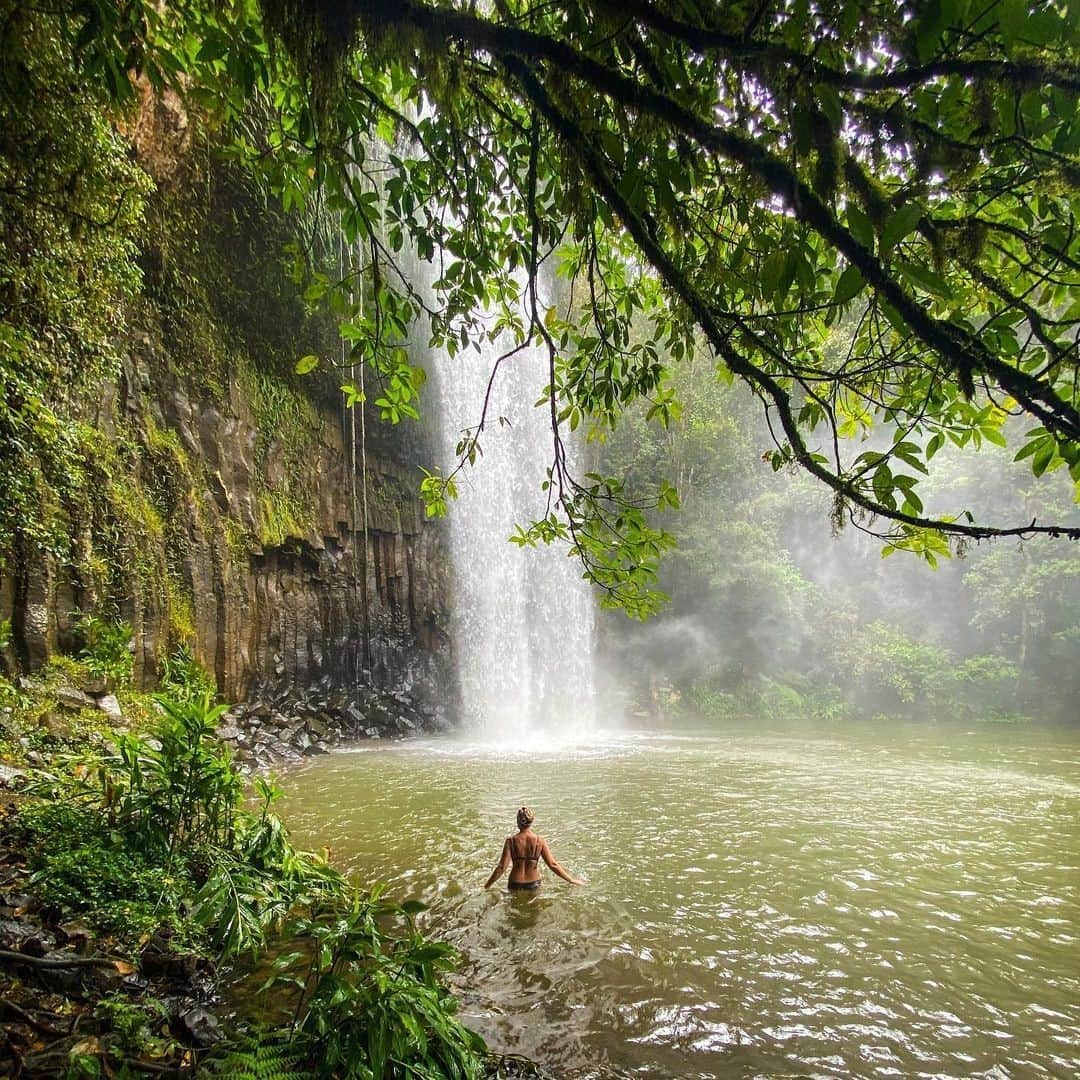 Australiaさんのインスタグラム写真 - (AustraliaInstagram)「You're looking at the dreamy Millaa Millaa Falls in @tropicalnorthqueensland 💧🤩 Thanks to @angelaj72 who captured this magic moment. Located just 90 minutes from #Cairns, the lush rainforest of the @athertontablelands is filled with rolling hills, freshwater creeks and the World-Heritage Wet Tropics waterfall circuit, which as the name suggests, includes an array of natural beauties like this one. There are plenty of places in this part of @queensland to take a refreshing tropical swim, or simply take a moment to admire the beautiful surroundings 🌿 #seeaustralia #thisisqueensland #exploreTNQ #athertontablelands #holidayherethisyear」2月10日 19時00分 - australia