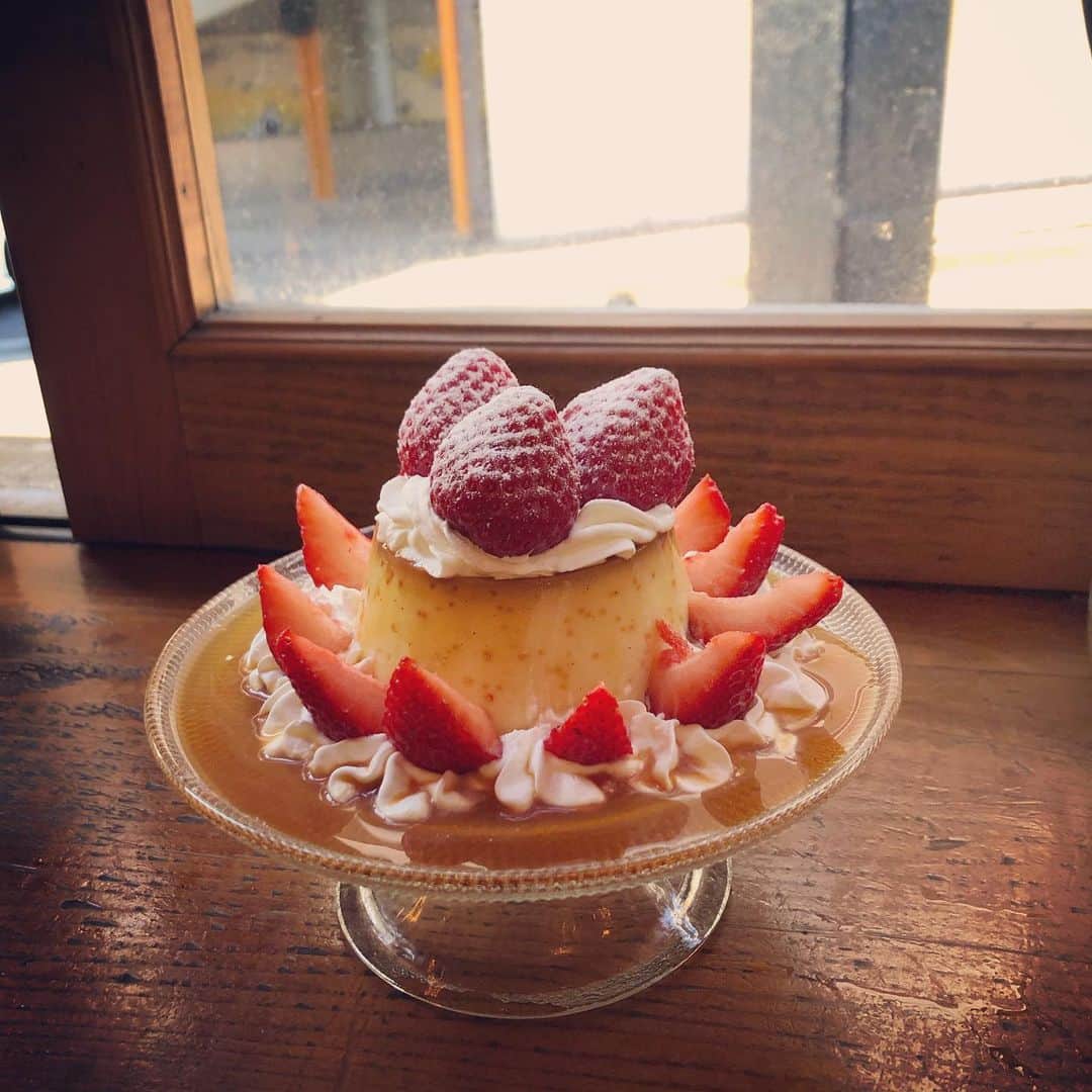 のインスタグラム：「. . 美味しいぷりん見つけた🍮 . . #pudding #custardpudding  #strawberry #sweets  #cafe #desert  #happy #good #day #ぷりん #プリンアラモード  #苺  #デザート #お気に入り #カフェ」