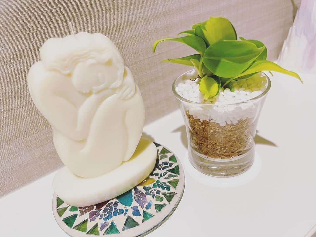 諏訪彩花のインスタグラム：「自分的おうちのお気に入り癒しスポット紹介します。。。☺️ 新しい植物がきたよ🪴✨名前忘れちゃったけど…爽やかでかわいいっしょ？♡  ま、おトイレなんだけどね🚽🌷笑 トイレの神様だよ👼笑。」