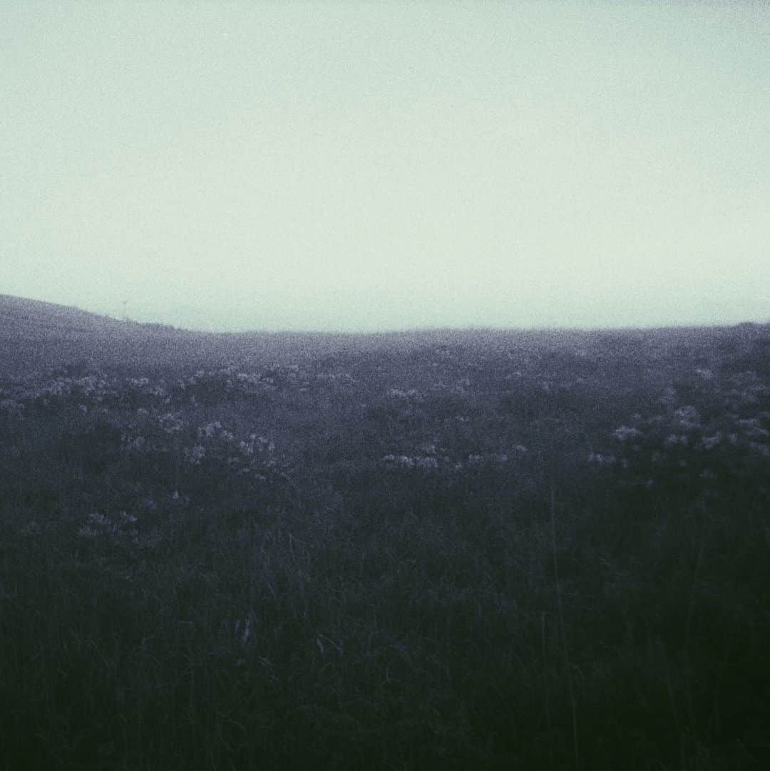 青葉市子のインスタグラム：「﻿ 「アンディーヴと眠って」demo ver.﻿ Bandcampにて公開となりました﻿ ﻿ "Asleep Among Endives (demo)" on Bandcamp.﻿ ﻿ https://ichikoaoba.bandcamp.com/track/asleep-among-endives-demo﻿ ﻿」