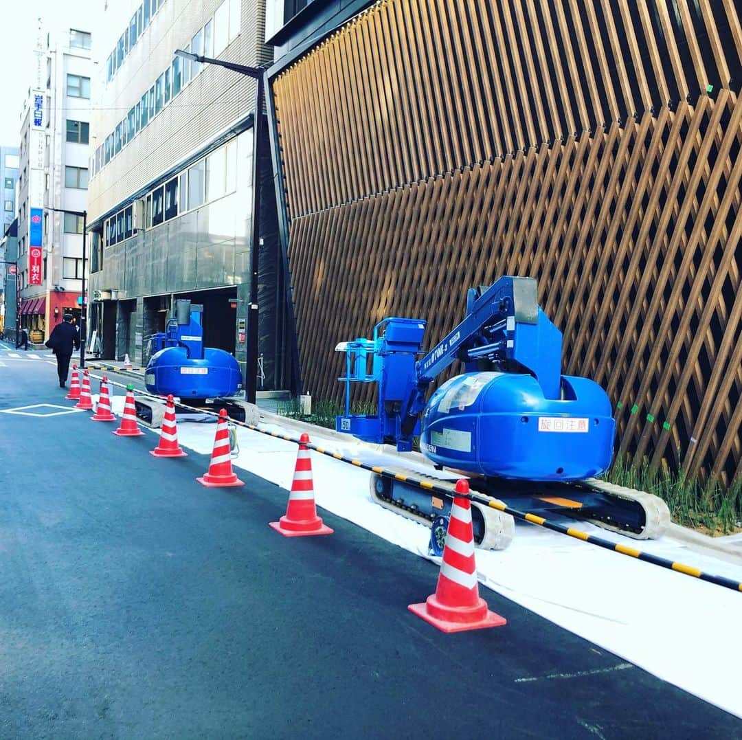 水谷さるころのインスタグラム：「めちゃくちゃタチコマみたいなのいた。」