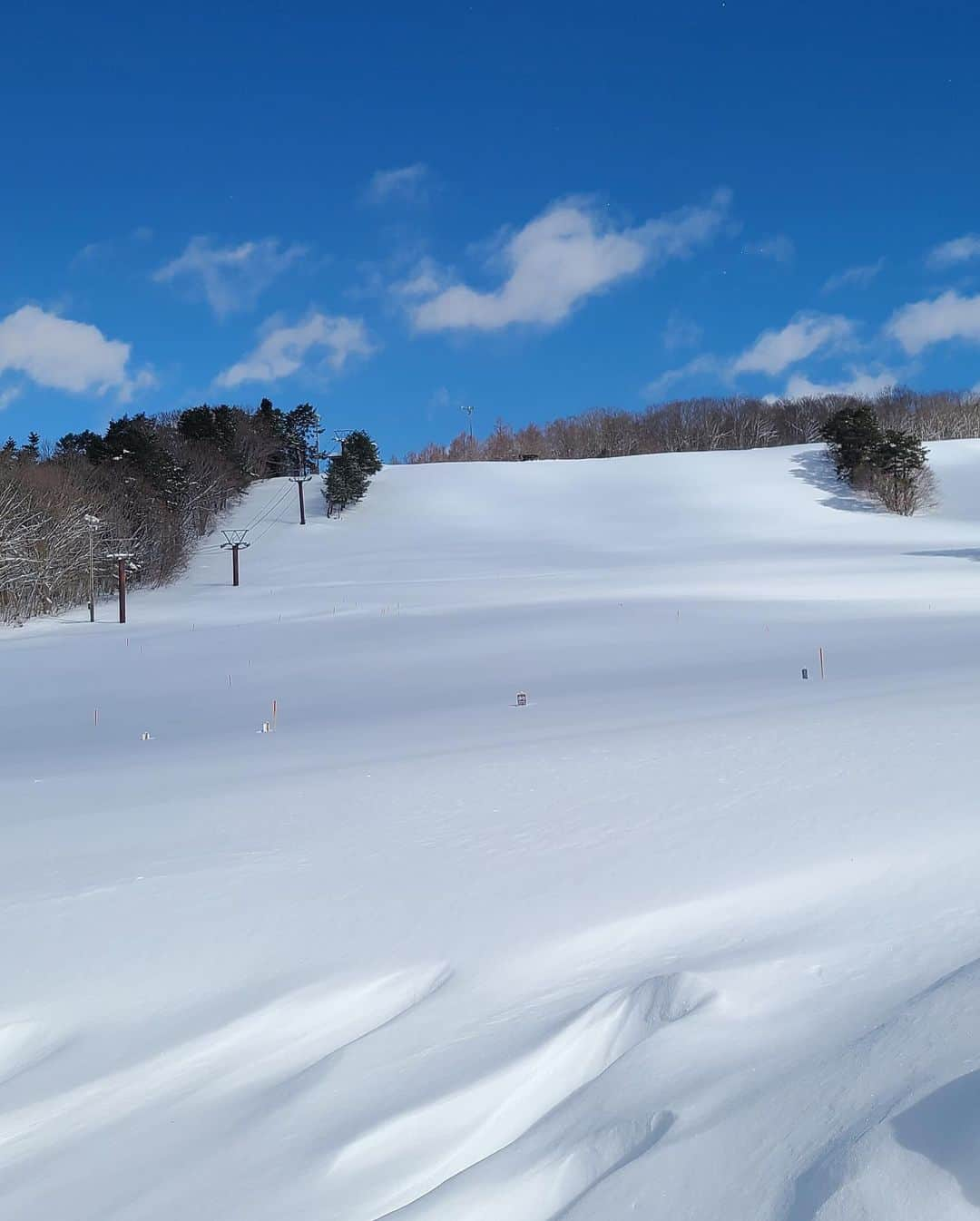 Rediscover Fukushimaさんのインスタグラム写真 - (Rediscover FukushimaInstagram)「Ever heard of a FAT bike?😼🚴🏻‍♂️  Your basic bike won’t move an inch on snow, but fat bikes have got it going on! ✨🥰  I got to try out a riding a fat bike at Nowhere Snow Park. There is a biking course that stretches over 780 meters (853 yards) long where you can try out fat biking in the snow! 😍✨ (You can experience the magic of fat bikes for as cheap as 2000 yen / 20$ an hour!) ✨  At Nowhere Snow Park you can even rent snowmobiles and cruise around a separate snowmobile course!! ✨😆  You can also try out some sledding, “boarding,” and even snowshoeing.😳💕  Stop by the Cafe & activity nowhere for some fantastic coffee, food, and winter/ outdoors activities! 😼✨  ❄️ Be sure to check out @nowhere_numajiri   ( #nowhere #nowheresnowpark #cafeandactivitynowhere #cafenowhere #numajiri #nowherenumajiri #outdoorsjapan #outdoors #outdoorslife #travel #traveljapan #fukushimagram #fukushima #aizu #japow #japowder #winteractivities #ski #snowbike #fatbike #fatbikejapan #カフェ　#ふぁっとばいく　#FATバイク　#沼尻　#福島　#touhoku #tohoku #japones #giappone @fleetactivitiesyokosuka )」2月10日 10時53分 - rediscoverfukushima