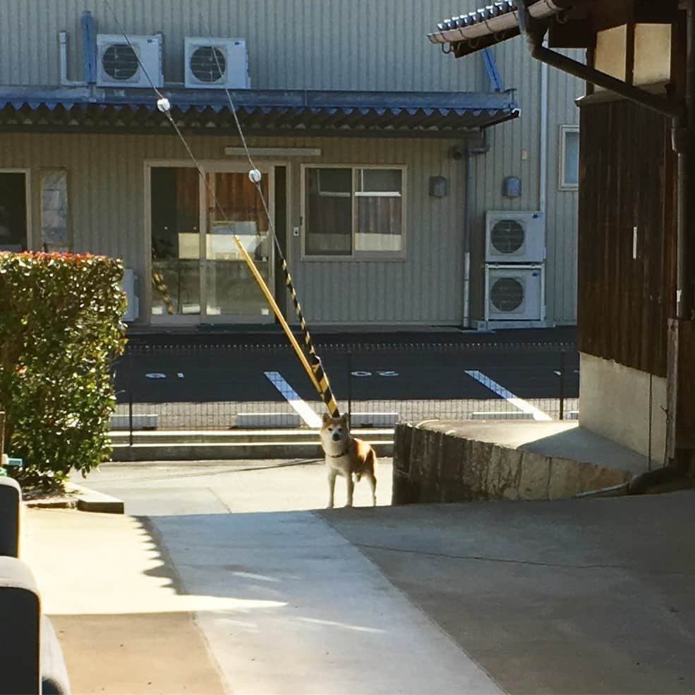HALFBYのインスタグラム