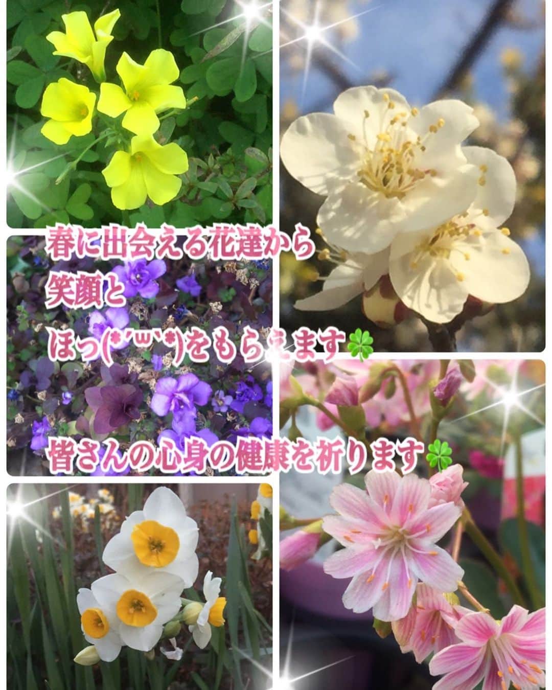 花原あんりのインスタグラム