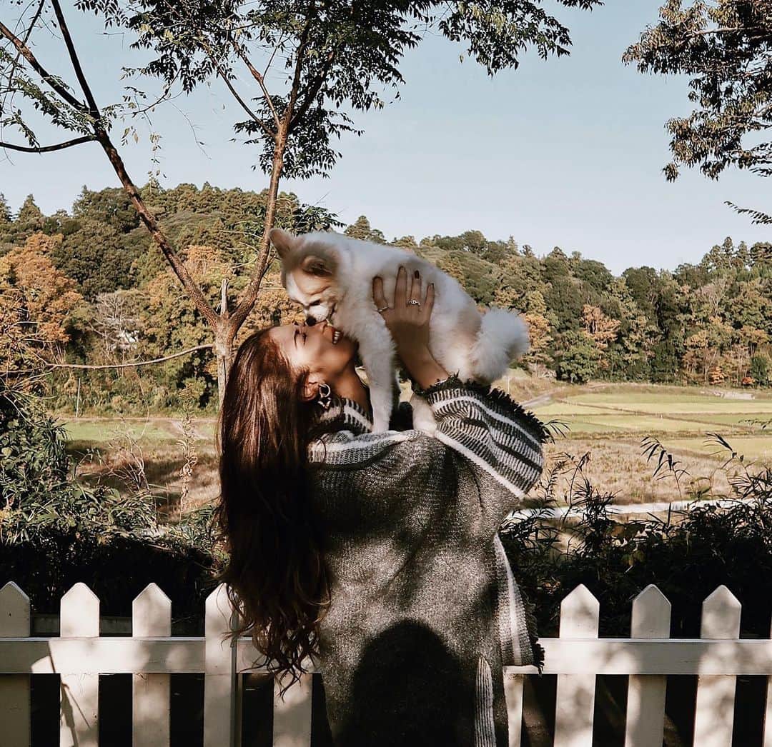 佐藤あずみのインスタグラム：「𝑵𝑬𝑾 𝒀𝒐𝒖𝑻𝒖𝒃𝒆🎥  20時〜UPします♡ とてもとても時間差投稿にっっっ😂  都内から最速55分🚗 愛犬と楽しむリゾート🌴  【 @doggys_island_official 】さんにお邪魔させていただきました❤️  大吉のお誕生日旅行でもあり、とても良い思い出に...💗  ひろ〜いドッグランでは大はしゃぎ✨ ご飯もとても美味しく、わんちゃんのご飯は無料で食べ放題🐶！  だいちゃこさんもとても楽しそうでと〜〜〜っても嬉しかった！！！  【わんちゃんOK】愛犬と泊まれるホテルに行ったら楽しすぎて癒されすぎた！【BIRTHDAY TRIP】  ぜひご覧ください〜〜〜♡  #YouTube #YouTube始めました #チャンネル登録 #チャンネル登録お願いします #酔っ払いYouTuber #わんちゃんok #わんちゃんと泊まれる宿 #わんちゃんのいる生活 #癒し動画 #dogbirthday #ドギーズアイランド」