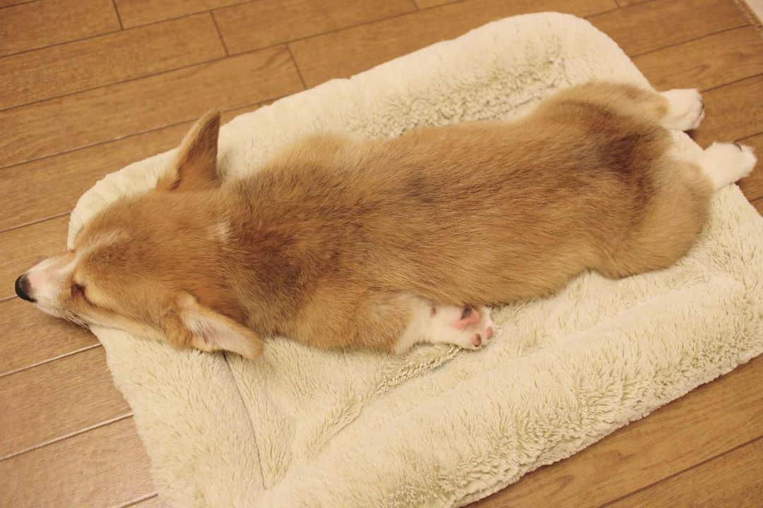 さゆりのインスタグラム：「◡̈⋆2021.2.10.Wed.◡̈⋆ 空飛ぶ絨毯😅😂👍 * * * * * * *」
