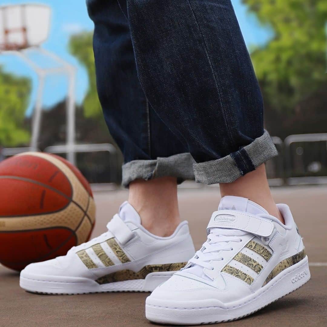 ABC-MART Grand Stageさんのインスタグラム写真 - (ABC-MART Grand StageInstagram)「. <2/11(THU)Release>  adidas GX4993 FORUM LOW “SNAKE” ￥9,990+tax  80年代、バスケットボールコートを席巻し、それ以来、コートを飛び出し、音楽やストリートカルチャーの分野においてもキープレーヤーとなったアディダスのアイコンシューズ「フォーラム」から、スネーク柄を纏ったABCMART限定カラーが登場。  #abcmart #abcマート #abcgs #adidas #アディダス #adidasoriginals #forum #adidasforum #フォーラム #abcマート限定 #limitedcolor #snake #蛇柄  @adidasoriginals」2月10日 12時16分 - abcmart_grandstage