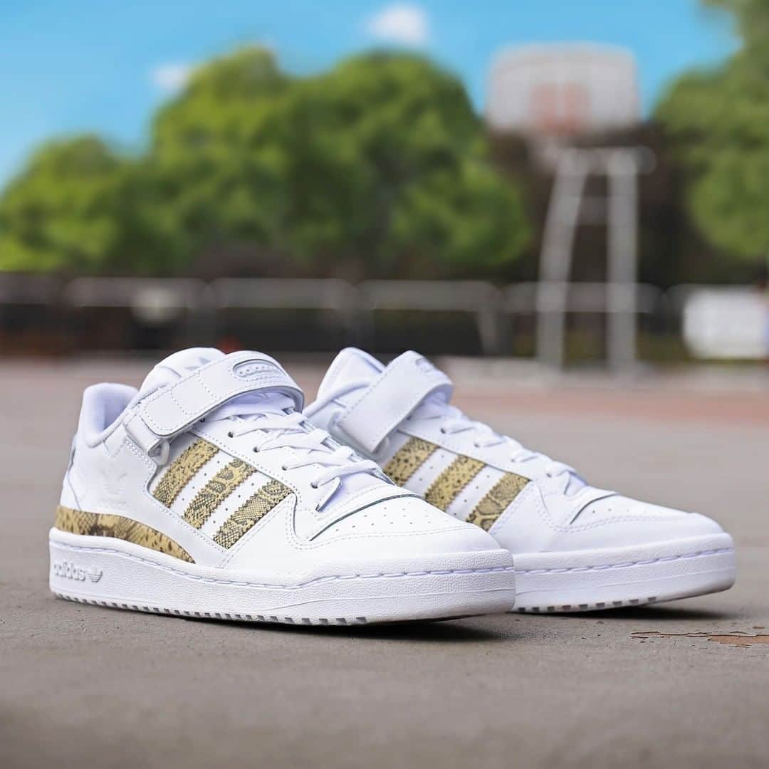 ABC-MART Grand Stageさんのインスタグラム写真 - (ABC-MART Grand StageInstagram)「. <2/11(THU)Release>  adidas GX4993 FORUM LOW “SNAKE” ￥9,990+tax  80年代、バスケットボールコートを席巻し、それ以来、コートを飛び出し、音楽やストリートカルチャーの分野においてもキープレーヤーとなったアディダスのアイコンシューズ「フォーラム」から、スネーク柄を纏ったABCMART限定カラーが登場。  #abcmart #abcマート #abcgs #adidas #アディダス #adidasoriginals #forum #adidasforum #フォーラム #abcマート限定 #limitedcolor #snake #蛇柄  @adidasoriginals」2月10日 12時16分 - abcmart_grandstage