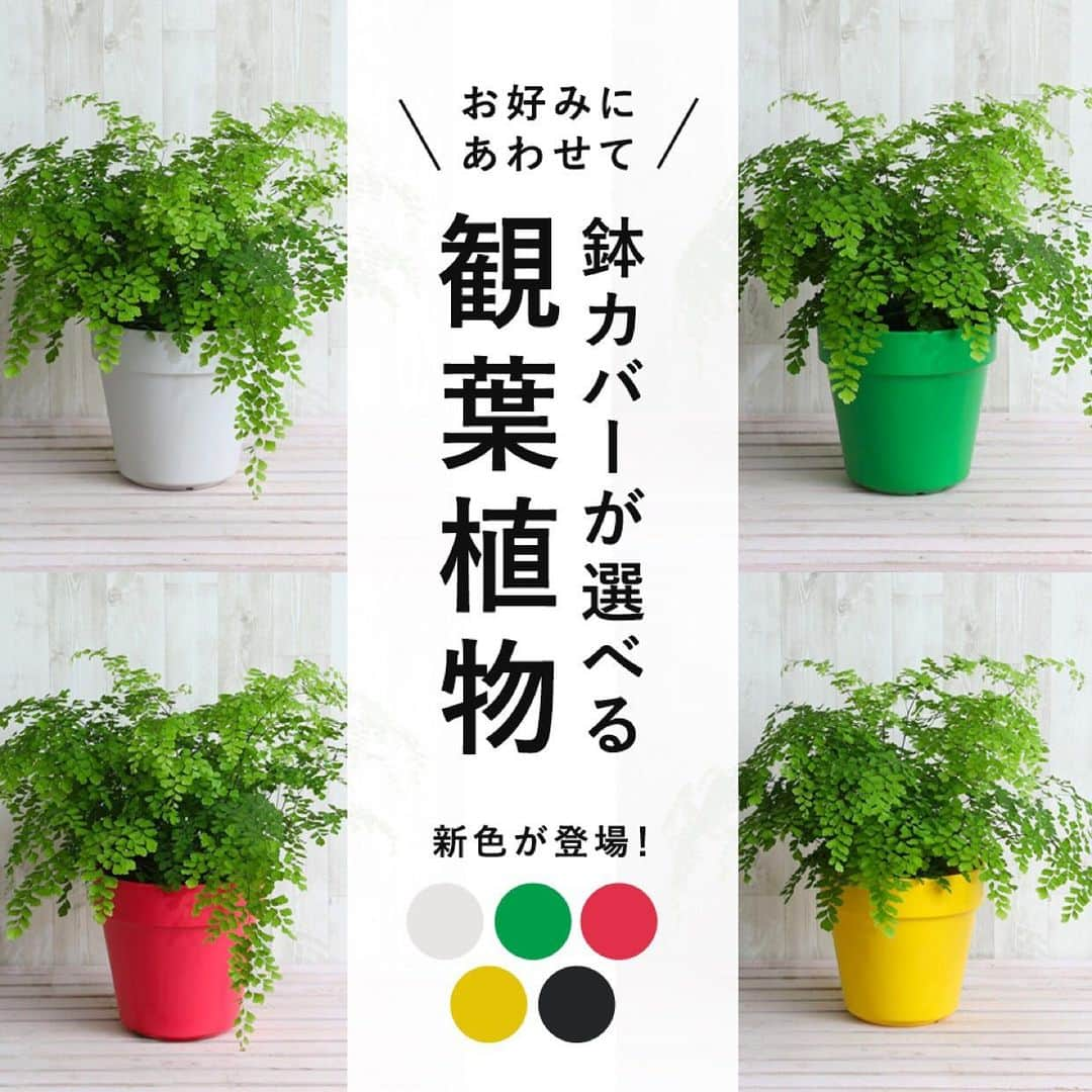 みどりで、つながる GreenSnapのインスタグラム