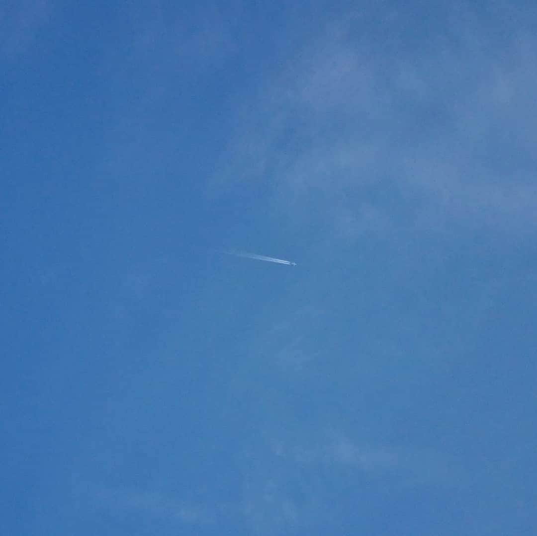 くぼてんきさんのインスタグラム写真 - (くぼてんきInstagram)「飛行機雲すぐ消える  #飛行機雲 #すぐ消える #乾燥しているから #反対に消えない時は天気下り坂のサイン」2月10日 13時22分 - kubotenki