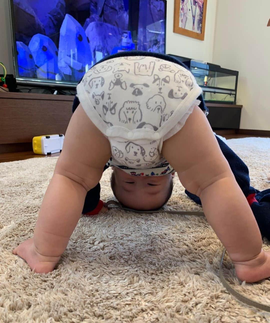 鈴木桂治のインスタグラム