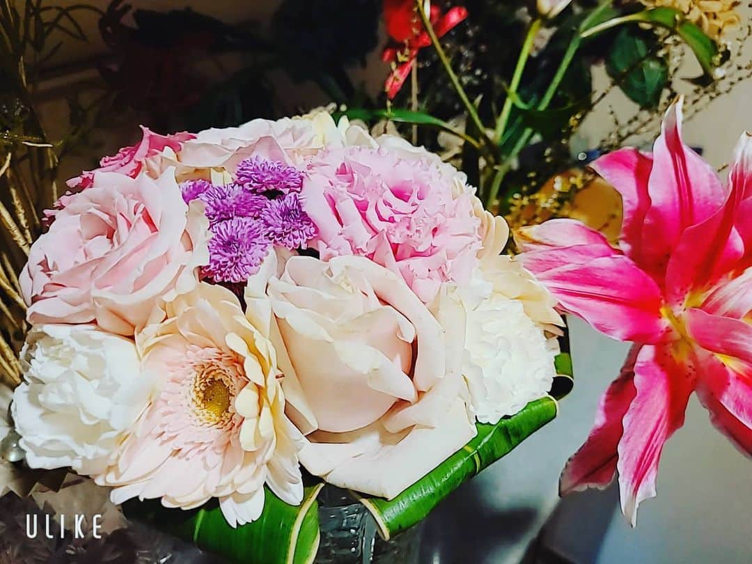 DJ KOOさんのインスタグラム写真 - (DJ KOOInstagram)「昨日撮影で頂いたお花がホント綺麗で、早速玄関に飾らせて頂きました！！ 玄関は良い気の通り道とのことで、良い運気を迎え入れるよう花を飾ったり綺麗にすると良き善きDO DANCE！！   #花束 #風水 #玄関 #DJKOO」2月10日 13時54分 - dj_koo1019