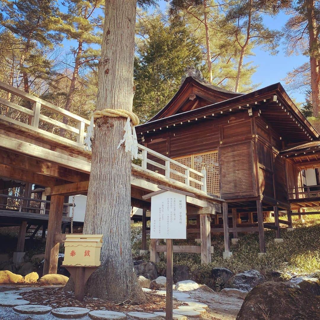 LOVE ME DOさんのインスタグラム写真 - (LOVE ME DOInstagram)「身曾岐神社の縁結び、子宝の杉です。  恋愛運、結婚運、授かり運アップに #待ち受けにどうぞ   金運大全  仕事運、財運、勝負運が上がり、 たちまちお金がやってくる160の方法 Amazonや書店で発売中です！  Love Me Doの大予言 〜2021年から輝く未来を築くために〜 Amazonや書店で発売中です！  #金運大全 #LoveMeDoの大予言  チケット今日発売！ 2月28日（日） Love Me Doラブちゃんの 開運･占いトークライブ ～満月の力、おかりします！vol.26 ●昼の部 『2021年の手相と風水スペシャル』 開場 12:00  ※(整理番号順での時間差入場） ・開演 12:30 ・終演15:00 予定  チケット今日発売！ 2月28日（日） Love Me Doラブちゃんの 開運･占いトークライブ ～満月の力、おかりします！vol.27 ●夜の部 『今年の皆さんの運勢を 占います教えますスペシャル』 ・開場 16:30 ※(整理番号順での時間差入場） ・開演 17:00 ・終演 19:30 予定  #ラブちゃん占い #占いトークライブ   #山梨県北杜市  #みそぎ #身曾岐神社  #身曾岐神社能楽殿  #縁結び  #縁結びの杉  #子宝 #授かり #子宝の杉」2月10日 13時59分 - lovemedo_fortunteller