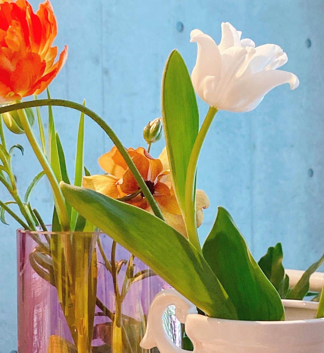 Sachiのインスタグラム：「Hello beautiful !!!    #sachiのflowermarket」
