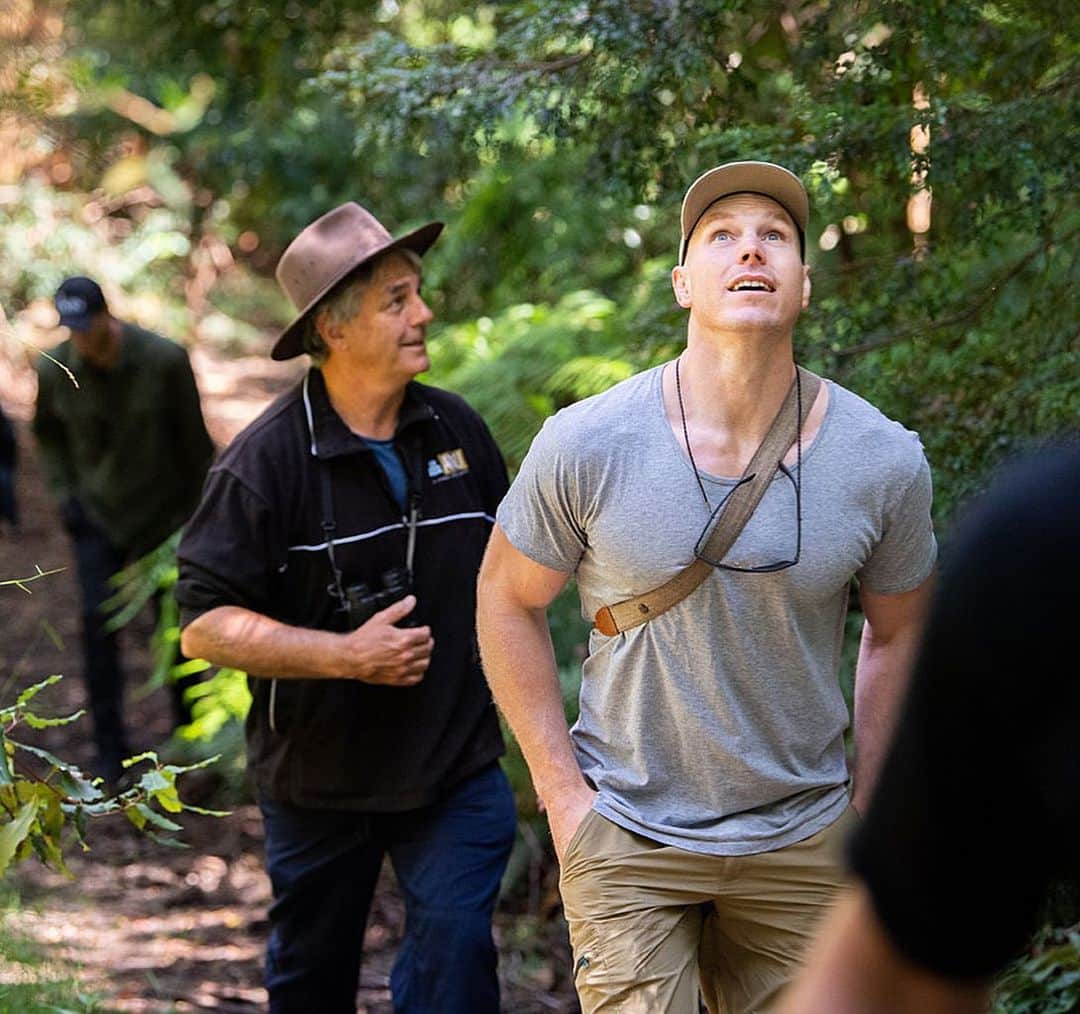 デビッド・ポーコックのインスタグラム：「Amazing visit to the Great Forest @greatforestnp just outside Melbourne and seeing the spectacular mountain ash - the tallest flowering trees in the world. David Lindenmayer has been researching the forest ecosystem for longer than I’ve been alive. So incredible to get out there with a few mates and someone who knows it so well and could tell us exactly what we were looking at. This forest area is unbelievably biodiverse, home to multiple endangered species, remnant Gondwana rainforest and the catchment supplies something like 98% of Melbourne’s drinking water. An hour from the CBD it’s truly a slice of paradise. Few things more Australian than these giant, old forests.   📷: @stu_walmsley   #victoria #greatforestnationalpark #mountainash」