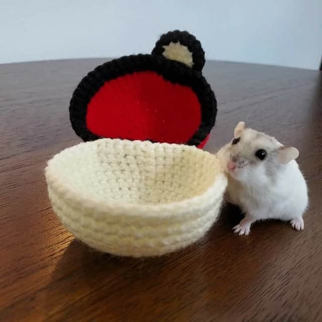 9GAGさんのインスタグラム写真 - (9GAGInstagram)「Gotta catch em’ all! 📸 qee_913 (TW) - #pokemon #hamster #ハムスター #9gag」2月10日 16時00分 - 9gag