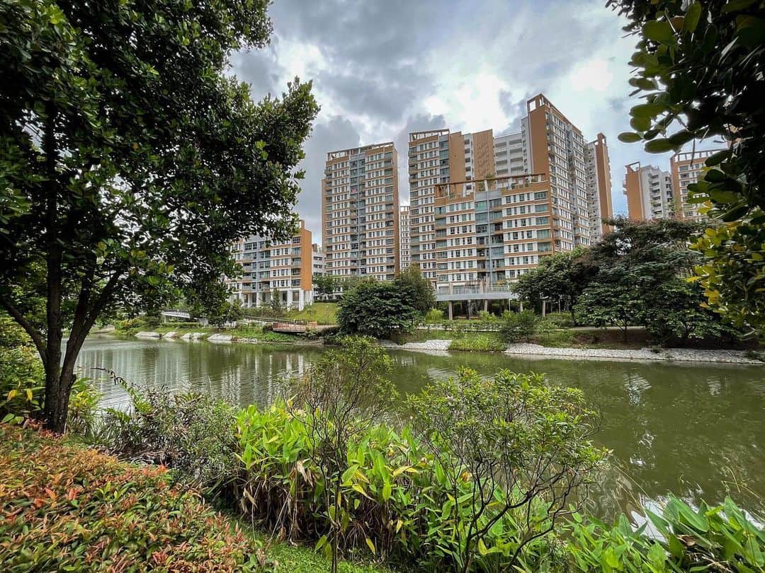 リー・シェンロンのインスタグラム：「Singapore might be a small country, lacking in natural resources. But we can still press on with tech and policy solutions for sustainable development.   Today, we unveiled the Singapore Green Plan 2030 (www.greenplan.gov.sg). It will build upon our sustainability efforts in decades past, and help us fulfil our commitments under the @unitednations 2030 Sustainable Development Agenda.   By 2030, Singapore will be greener, with more land set aside for nature parks. We will deploy more solar power, and tap more green energy. You will see more electric vehicles on the roads, and an expanded public transport network. We will recycle more. Schools will become carbon neutral, and students will learn how they can make a difference. We will help SMEs go green, and promote green R&D activities. We will do all we can to combat climate change.  We need to ensure a Singapore for our future generations. All of us have to work together, and make Singapore a bright green spark for the world. – LHL  (Photo by me)  @moesingapore  @mndsingapore  @msesingapore  @motsingapore Ministry of Trade and Industry」