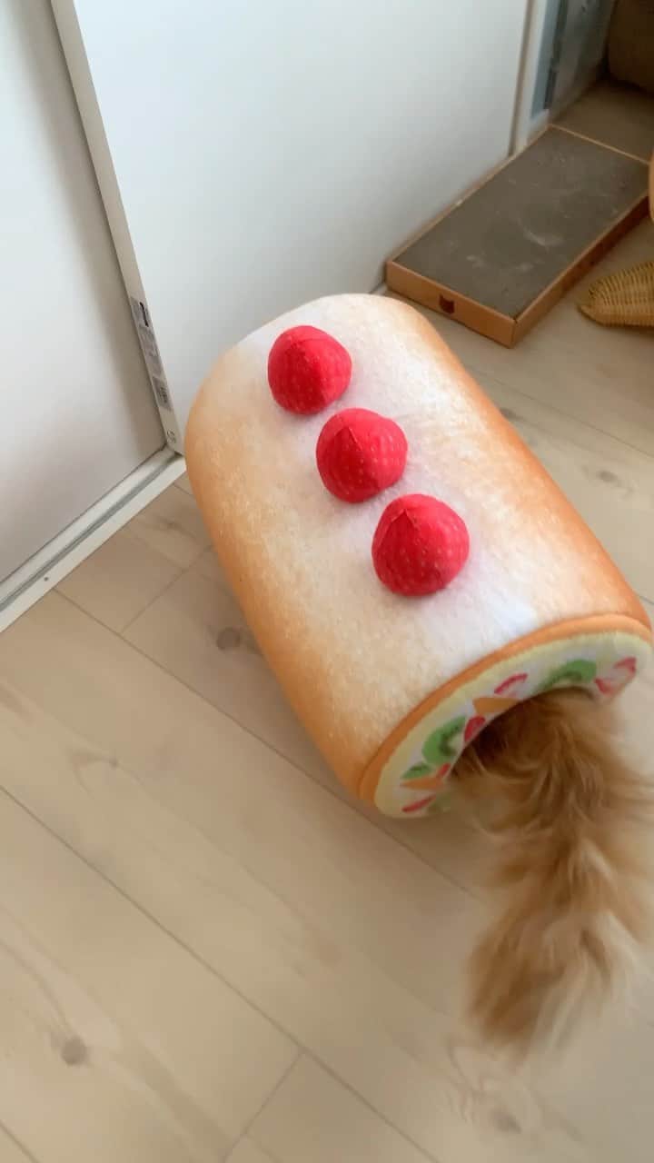 yayoi89のインスタグラム