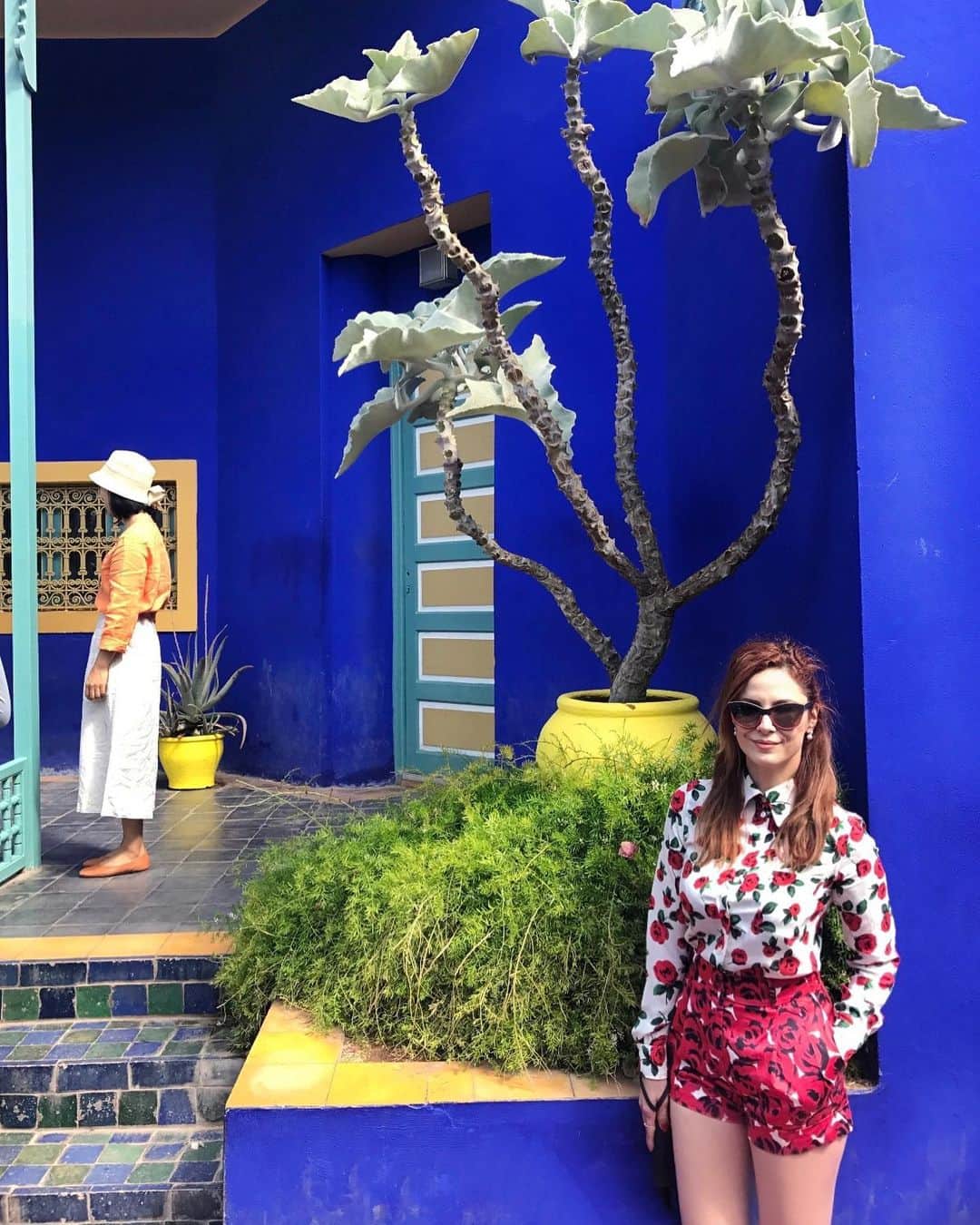 Mine Tugayのインスタグラム：「Majorelle #tb」