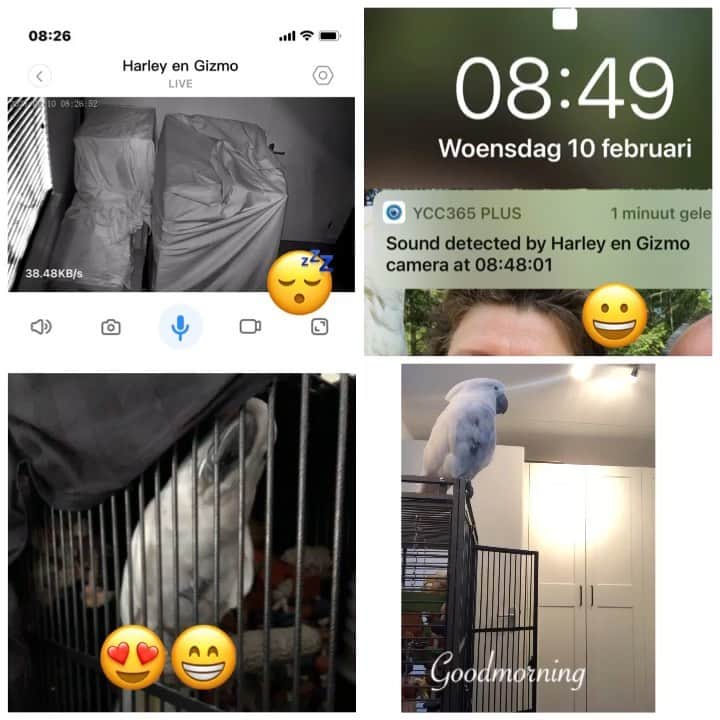 ? Enjoy Harley's Lifeのインスタグラム：「Wake up  this morning .... mom and dad  set camera in our room 😃👌🏻」