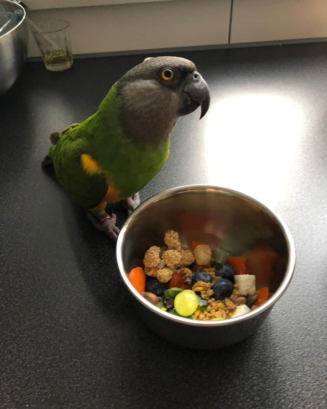 ? Enjoy Harley's Lifeさんのインスタグラム写真 - (? Enjoy Harley's LifeInstagram)「Breakfasttime 😍🥕🫐🥒🥦🍇,seeds and more healthy stuff 😍#healthyfood#awesome#breakfast#goodmorning」2月10日 17時41分 - harleythecockatoo