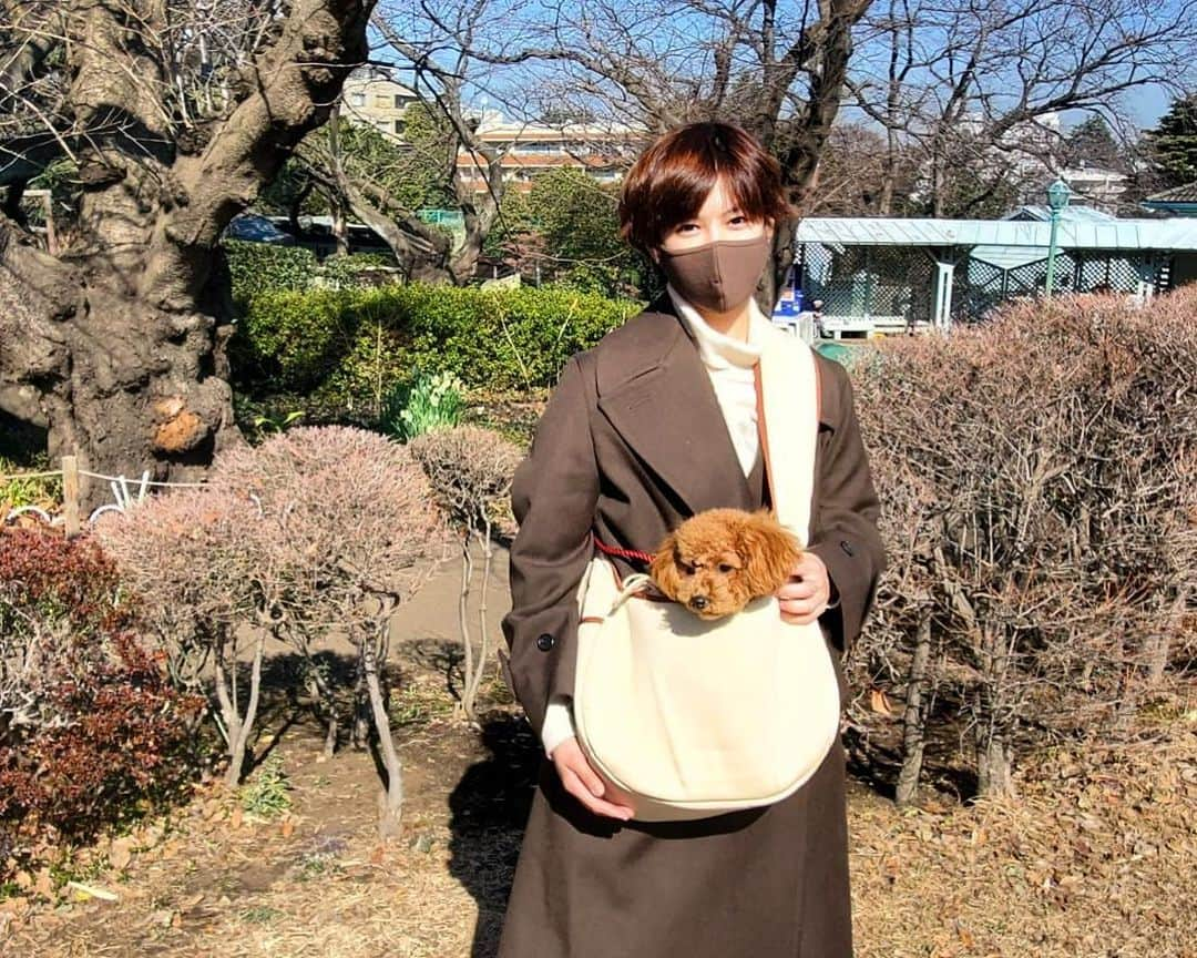 宮脇花綸さんのインスタグラム写真 - (宮脇花綸Instagram)「.  マネージャーさんから 誕生日プレゼントに 犬用お出かけバックを貰いました✨  元バレーボール日本代表の 木村沙織さん @saoriiiii819 がプロデュースしている jiji @jiji.2018sgm のものです🐾  写真では遠い目をしていますが🐶💦 とっても居心地良さそうにしてました！」2月10日 17時56分 - karinmiyawaki