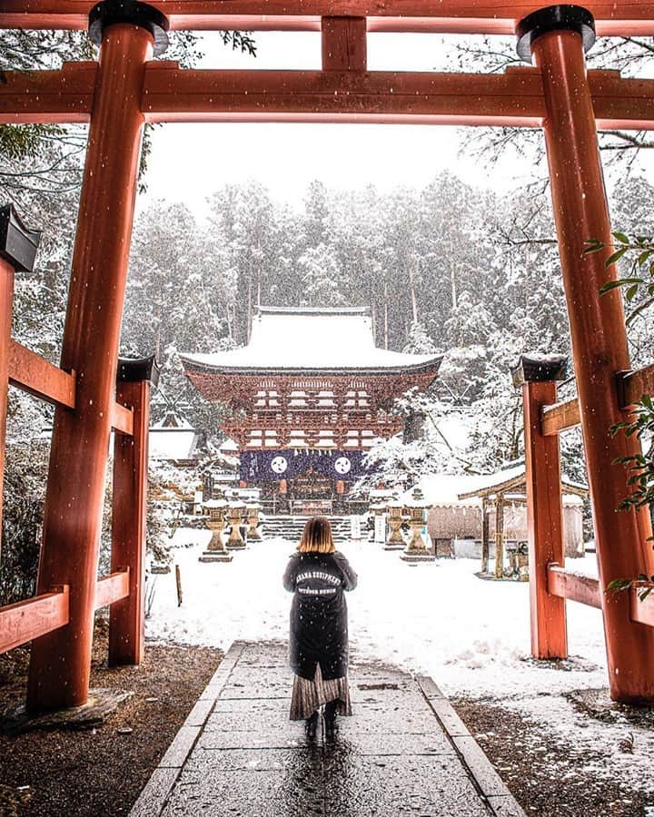 Visit Wakayamaのインスタグラム：「. ⠀ The guardian of Koyasan. ⠀ Located in the foothills of Mt. Koya, the deities enshrined at Niutsuhime Jinja protect the sacred mountain. ⠀ 📸 @sunset_bancho⠀ 📍 Niutsuhime Jinja, Wakayama」