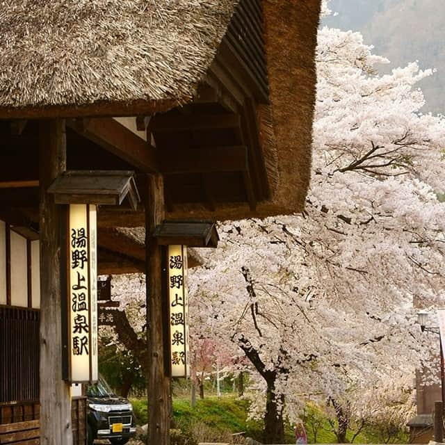 TOBU RAILWAY（東武鉄道）さんのインスタグラム写真 - (TOBU RAILWAY（東武鉄道）Instagram)「. . 🚩Yunokami Onsen - Aizu,Japan . . [Want to keep it a secret! Feel Japan's spring in Yunokami Onsen, a secret spa resort in Aizu!] . Yunokami Onsen in Aizu has been loved by onsen (hot spring) lovers and the local people. This spa resort is ideal to stay over during your trip to Aizu, because it is also close to Ouchijuku, a popular sightseeing spot in Aizu. The nearest station is Yunokami Onsen Station, which is a station building with a traditional thatch roof. In spring, cherry blossoms bloom around the station building. Its unspoiled landscape will surely make you feel as if you time traveled to old Japan. How about "Yunokami Onsen" for your next trip?  . #visituslater #stayinspired #nexttripdestination . . . #aizu #yunokamionsen  #hotspring #japantrip #discoverjapan #travelgram #japantrip #tobujapantrip #unknownjapan #jp_gallery #visitjapan #japan_of_insta #art_of_japan #instatravel #japan #instagood #travel_japan #exoloretheworld #ig_japan #explorejapan #travelinjapan #beautifuldestinations #japan_vacations #beautifuljapan #japanexperience #cherryblossomjapan #japanspring」2月10日 18時00分 - tobu_japan_trip