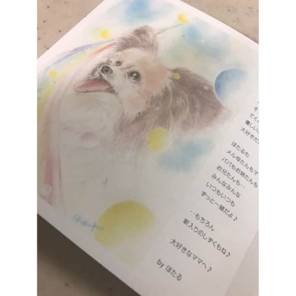 Photobackさんのインスタグラム写真 - (PhotobackInstagram)「本日ご紹介する作品は、 shizuku (@atelier.elfe)さまの一冊🐕 ご自身のわんちゃん との別れをきっかけに つくられはじめた 絵本作品です📕 . 『昨年4月、 2019年に亡くなった 自分の愛犬の絵本を つくりたくて 当時いろんなフォトブックを 検討していました。 . こちらは私と同じように 愛犬を亡くされた方より お話をいただき、 物語から全て考えてつくった 作品です✨ . 内容は違えど、 3作品目になると 編集にも慣れてきて、 より細かく 設定ができ、 絵が更に映える 仕上がりにもなり、 先方様も大変喜んで くださいました。 . パステルの色目が ほんとに綺麗に 仕上がり大変感激です。 愛犬との思い出を カタチにする事ができました😊』 と、shizuku (@atelier.elfe)さま🌱 . 大切な家族を失うことは 何よりつらいこと。 それでもいまこうやって 絵本の中でも 生き生きとした姿を 見せてくれているのが ほっこりします🥰 . コメントでもいただいたように、 中面では様々な設定が 施されており、 レイアウトも それぞれのページで 工夫されています🧡 作品集をつくられるかたは ぜひ参考になさってくださいね💐 . ROUGHの16ページが 選ばれたこちらの作品ですが、 ましかくタイプなので タテヨコどちらの写真も バランスよく配置できます🙋‍♀️ . shizuku (@atelier.elfe)さま、 今回は素敵な作品を ありがとうございました🌿 . #photoback #フォトバック #フォトアルバム #フォトブック #フォトブックづくり #アルバム #アルバム作成 #photo #写真 #photoback作品紹介2021 #ROUGH #絵本 #愛犬 #イラスト #物語 #イラストグラム #手描きイラスト #アート #手作り絵本」2月10日 18時01分 - photoback.jp